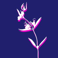 Cyanotype Bio logo - Similar company to Bitgrit