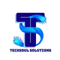 TechSoul Solutions logo - Similar company to Techsoul Group (E.K.)
