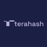 terahash.space logo - Similar company to Drei6Null | Wirtschaftsprüfer, Steuerberater, It-Solutions