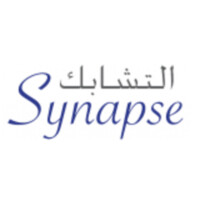 Synapse IT logo - Similar company to Simplex  It Solutions
