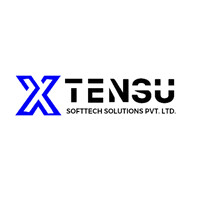 XTENSU SOFTTECH SOLUTIONS PRIVATE LIMITED logo - Similar company to Logic Bloom- Learning Games And Experiments