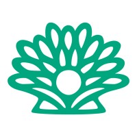 Izcali logo - Similar company to Plemuu