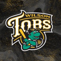 Wilson Tobs Baseball Llc