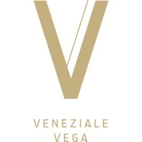 Veneziale Vega logo - Similar company to Lavtion