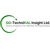 GO-TechniKAL Insight logo - Similar company to The Technical Analyst