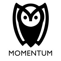 Momentum logo - Similar company to Pyrope Technology Solutions