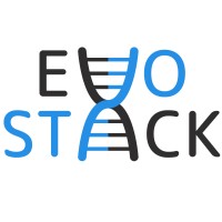 EvoStack logo - Similar company to Re/Max Alcance