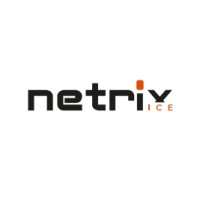 Netrix ICE logo - Similar company to Netrix Link