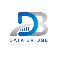 DataBridge logo - Similar company to Data Bridge