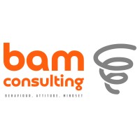 BAM Consulting logo - Similar company to Bam Group