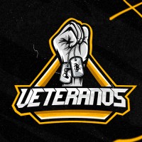 Veteranos eSports logo - Similar company to Abko Global