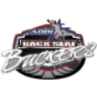 Back Seat Buckers logo - Similar company to Rockin B Bucking Bulls
