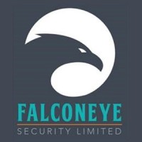 Falcon Eye Security logo - Similar company to F