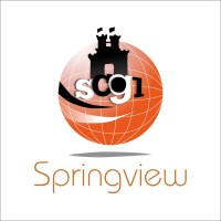 Springview Concept Global Limited logo - Similar company to Prevail Group
