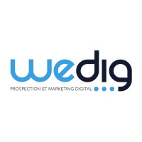 Wedig logo - Similar company to Cyim
