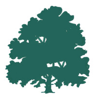 Succession Capital logo - Similar company to Rosebery Capital (鸿海资本国际)