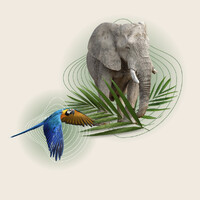 AI + Environment Summit Zurich logo - Similar company to Gainforest.Earth