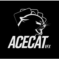 Acecat VFX logo - Similar company to Sam Consulting Group
