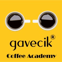 Gavecik Coffee Academy logo - Similar company to Minnpoly Of Minnesota State University, Mankato