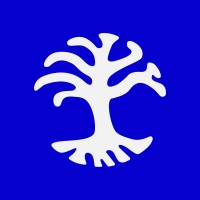 Cosmic Tree logo - Similar company to Lemon Mint Films