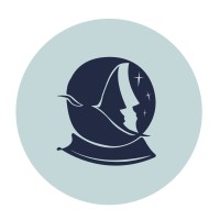 Women in Space Scotland logo - Similar company to Coding 4 Community
