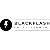Blackflash Entertainment logo - Similar company to Feestphotobooth
