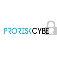 PRORISK CYBER logo - Similar company to Prorisk