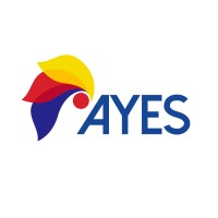 AYES International logo - Similar company to Southside Developers