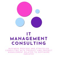 Information Technology Management Consulting logo - Similar company to Itmc Systems, Inc