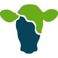 LG Cursos logo - Similar company to Pecbr