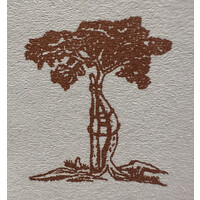 Centro Traumatológico Melipilla logo - Similar company to Colegio Rayün Melipilla