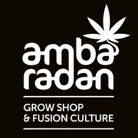 Ambaradan logo - Similar company to Saledil S.R.L.