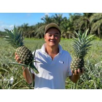 Talula Hill Farm logo - Similar company to Comomaya