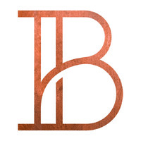 Brightstone Developments logo - Similar company to Gemini Equity