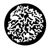 Lagotto Executive Search & Interim logo - Similar company to Head Agent Executive Search & Interim