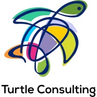 Turtle Consulting Limited logo - Similar company to Feexet Limited