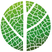 MIYA forest e.V. logo - Similar company to Heckenretter E.V.