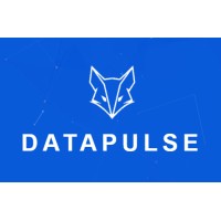 Datapulse logo - Similar company to Datapulse Research