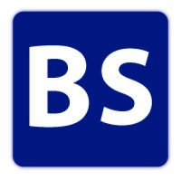 BSolutions logo - Similar company to Business Analytics Consulting Group