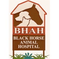 Black Horse Animal Hospital