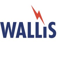 A.N. Wallis & Co Ltd logo - Similar company to Lightning Protection Uk Limited