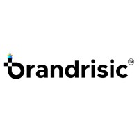 Brandrisic Media Pvt Ltd logo - Similar company to Technothinksup Solutions Inc