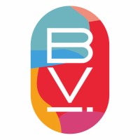 BVI Peru logo - Similar company to Blue Solutions Perú