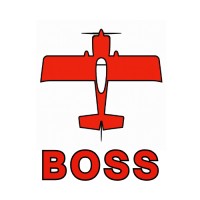 BOSS Aviation Group logo - Similar company to Viddi