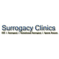 Surrogacy Clinic India logo - Similar company to Dr. Rhythm Gupta- Excel Ivf