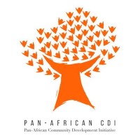 Pan-African Community Development Initiative logo - Similar company to Institute Community Development Initiative