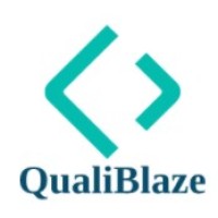 QualiBlaze Consulting (Pty) logo - Similar company to Cybernetic Business Group