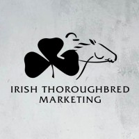 Irish Thoroughbred Marketing logo - Similar company to Godolphin