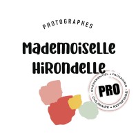 Mademoiselle Hirondelle logo - Similar company to Eyemo