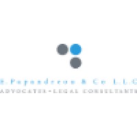 E. Papandreou & Co LLC logo - Similar company to C. Net Technologies Ltd